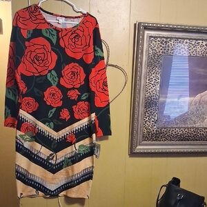 LuLaRoe Red Floral and Chevron Dress